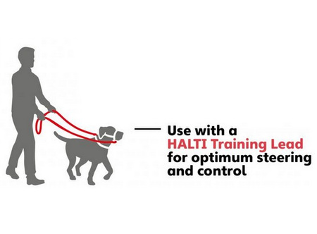 HALTI KANTAREK CZERWONY 3