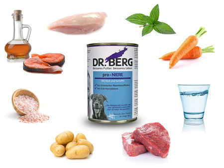 Dr BERG Pro-NIERE - nerki, kamica moczowa 400g