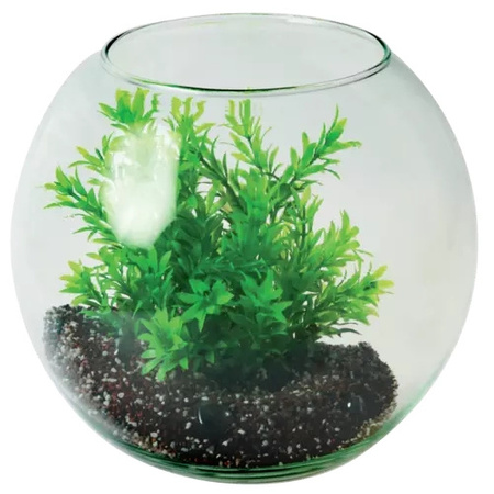 Zolux Akwarium kula 6L