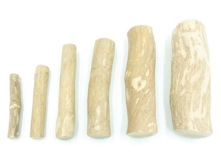 4DOGS Gryzak z drzewa kawowego M