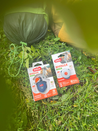 ZOLUX Świecąca zawieszka do obroży dla psa BIVOUAK czerwona na USB