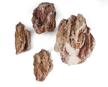 Skałka noga kurczaka, M 10-20cm