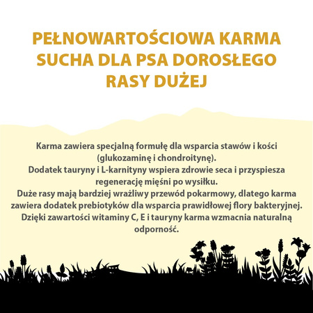 Karma sucha dla psa PUPIL Premium LARGE bogata w kurczaka 10 kg