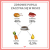 Karma mokra dla psa PUPIL Premium All Meat JUNIOR kurczak i wołowina 400 g