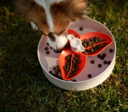 PDH SPIN BOUGAINVILLEA ORANGE  MISKA INTERAKT.