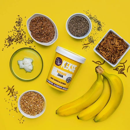 TENETRIO ciasteczka z owadami, bananami i nasionami chia (200g)