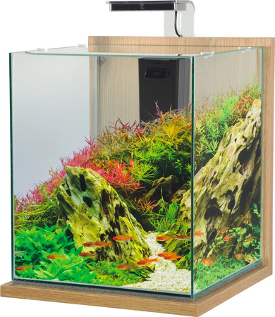 *- ZOLUX Zestaw akwarystyczny JALAYA XXL 300x300x350 mm 31,5 l kol. jasny brąz