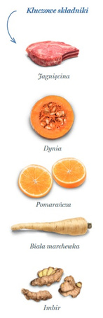 Amanova Dog Adult Sensitive Delicious Lamb - jagnięcina 2kg