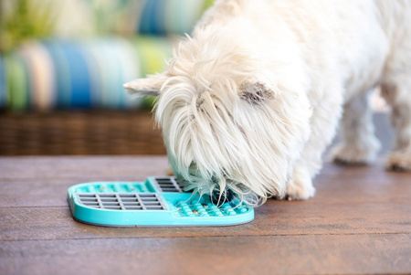 LickiMat Slomo turkusowy