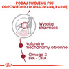 Royal Canin Medium Adult karma mokra w sosie dla psów dorosłych, ras średnich saszetika 140g