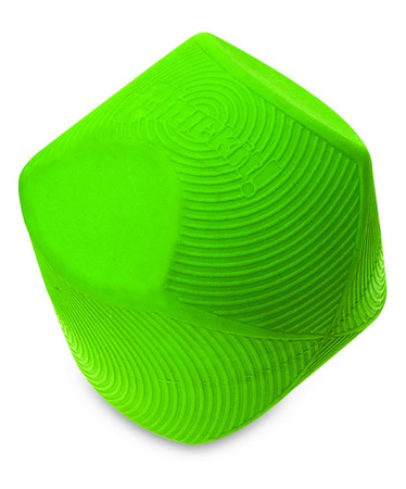 Chuckit! Erratic Ball Small 2pak [20110]