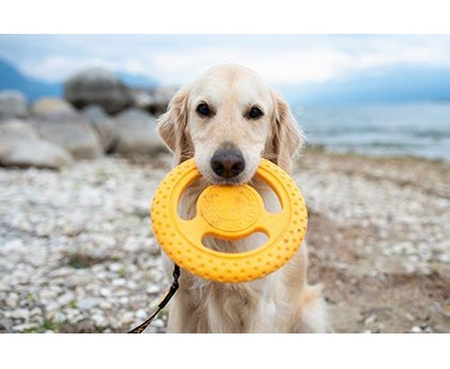 Kiwi Walker Let's Play Frisbee Maxi pomarańczowe