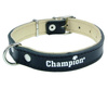 Champion Obroża Skórzana na skórce czarna SK/S 50/1,8 [SOS]
