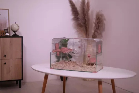 ZOLUX Klatka dla małych gryzoni Panas Colour 60 kol. różowy