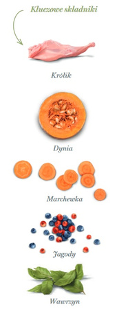 Amanova Dog Puppy Digestive Divine Rabbit - królik 7kg