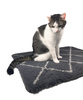 ZOLUX Dry bed posłanie izolujące dla psa wzór berberyjski 50x70 cm grafit