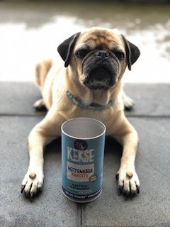 TENETRIO ciasteczka z owadami, twarogiem i marchewką (20g)