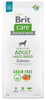 Brit Care Grain Free Adult Large Breed Salmon 12kg