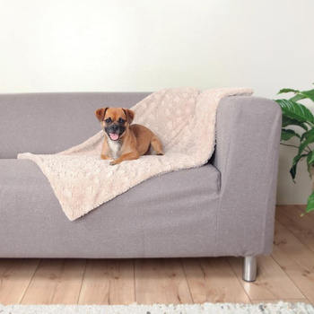 TX-37164 KOCYK BEŻOWY W ŁAPKI 100x70cm