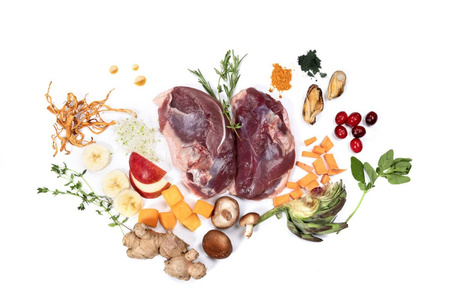 YDOLO Duck - kaczka - karma półwilgotna dla psa (100g)