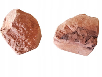 4DOGS GRYZAK Z KORZENIA WRZOŚCA roz.XXL