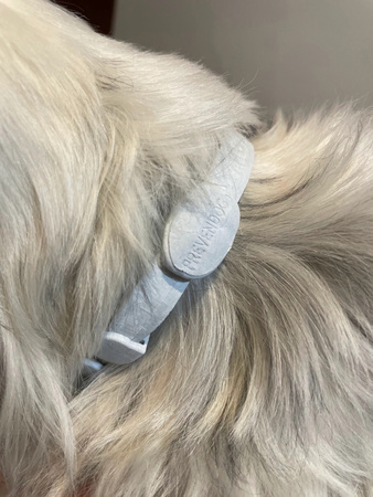 FRANCODEX PL Obroża na kleszcze PREVENDOG 35 cm dla psów do 5 kg - 2 szt