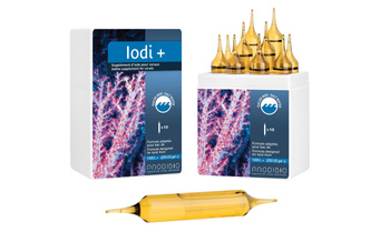 Prodibio Iodi+ PRO 10 ampułek, jod dla korali akwarium morskie