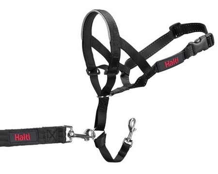 Halti Kantarek - obroża uzdowa rozmiar 1 czarna