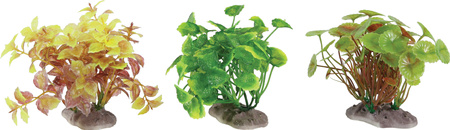 ZOLUX Ozdoba do akwarium zestaw roślin S 6 szt. - zestaw B