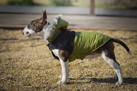 Zolux Ubranko puchowe MOUNTAIN T30 kol. khaki