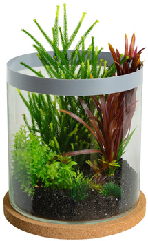 Zolux Akwarium Cylinder LIFE 12 l kol. szary