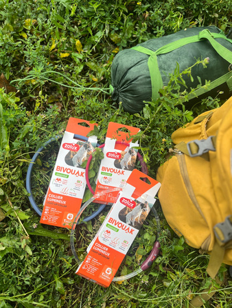ZOLUX Obroża LED dla psa świecąca silikonowa BIVOUAK przezroczysta czer