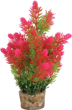 Zolux Ozdoba do akwarium roślina średnia z zestawu nr 3