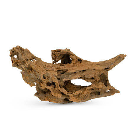 Korzeń Cięty SHRIM do akwarium / terrarium