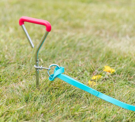 Trixie Wkręt do przywiązywania psa 40cm/9mm  [TX-2259]