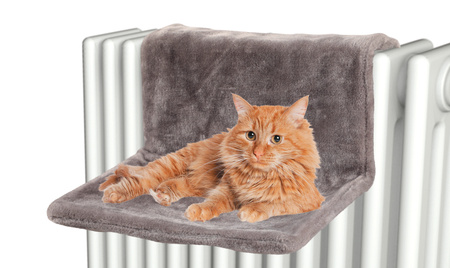 ZOLUX Hamak na kaloryfer dla kota kol. szary