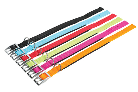 *- ZOLUX Obroża nylon KOMFORT 55 cm/25 mm kol. pomarańczowy