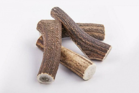 4DOGS Gryzak z poroża XS hard