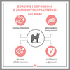 Karma mokra dla psa PUPIL Premium All Meat ADULT wołowina 400 g