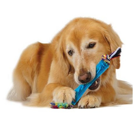 PETSTAGES ORKA RURKA Z SUPŁAMI PS220