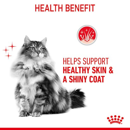 Royal Canin Hair & Skin Care w sosie karma mokra dla kotów dorosłych, zdrowa skóra, piękna sierść saszetka 85g