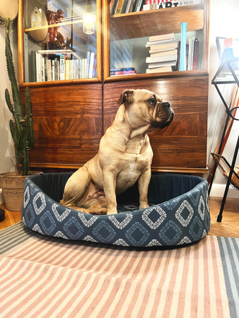 ZOLUX Poducha dla psa ze zdejmowanym pokrowcem ONE SIRIUS 100cm