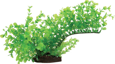 Zolux Napowietrzacz do akwarium AEROPLANT 1/2 łuku