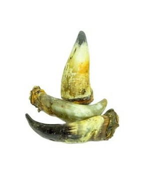 ARAMI B ROGI WOŁOWE 500 g