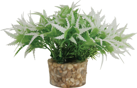 Zolux Ozdoba do akwarium roślina mała z zestawu nr 1