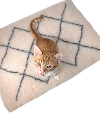 Zolux Dry bed posłanie izolujące dla psa wzór berberyjski 75x95 cm beż