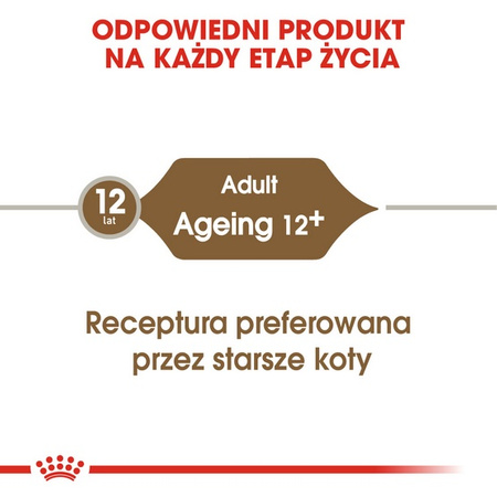 Royal Canin Ageing +12 karma mokra w galaretce dla kotów dojrzałych saszetka 85g