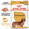 Royal Canin Dachshund karma mokra - pasztet, dla psów dorosłych rasy jamnik saszetka 85g