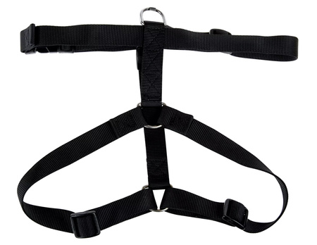 Zolux Szelki dla psa nylonowa taśma 50/90cm 25mm kol. czarny