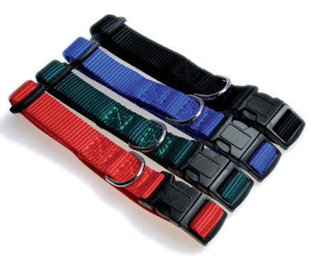 Zolux Obroża dla psa nylonowa taśma 30/40cm 15mm kol. niebieski